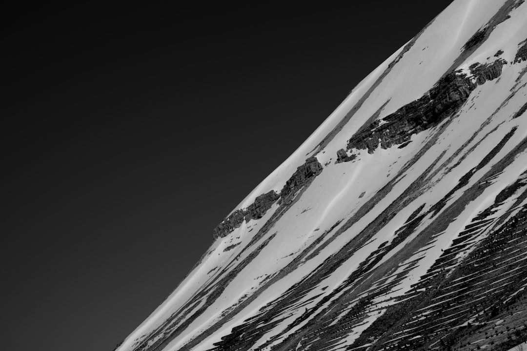 Mountaineer: novo framework para desenvolvimento ágil de webapps em Python e React