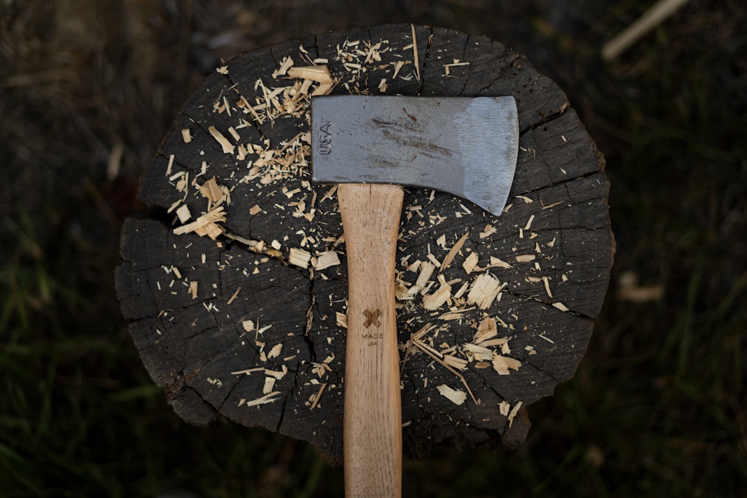 Hatchet: Plataforma para Orquestração de Tarefas em Segundo Plano e Fluxos de Trabalho Duráveis